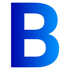 Christ Church Blackburn (BOYS)